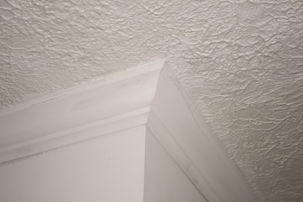 White Ceiling Cove Moulding Colony Homes